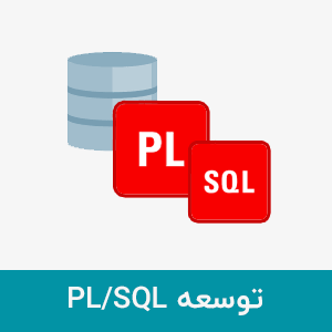 oracle plsql